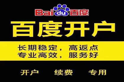 SEM外包策略在电商平台的成功案例